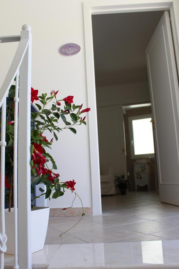 Book And Bed Bed & Breakfast Maglie Bagian luar foto